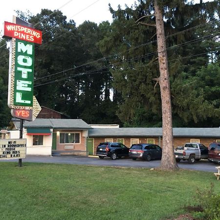 Whispering Pines Motel - Asheville Ngoại thất bức ảnh